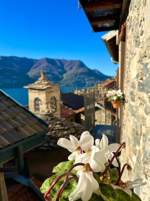 Romantic Home Stone With Amazing View Lake Of Como And Oleandra Laglio Exterior foto